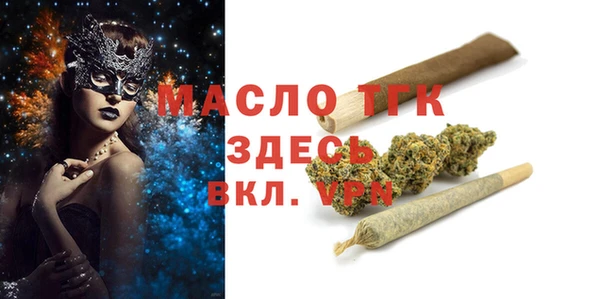 гидра Кодинск