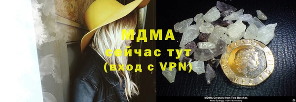 гидра Кодинск