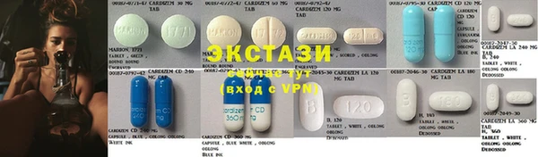 гидра Кодинск