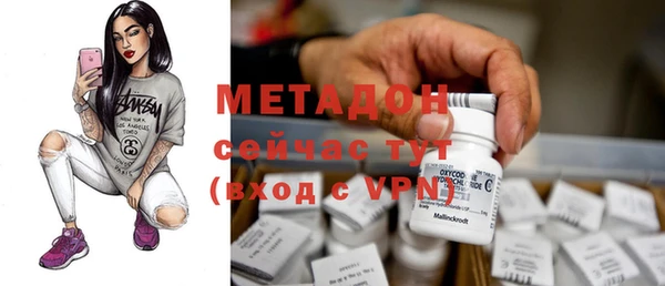 гидра Кодинск