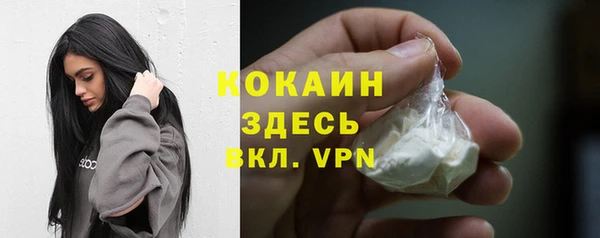 ешки Козловка