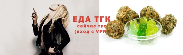 гидра Кодинск