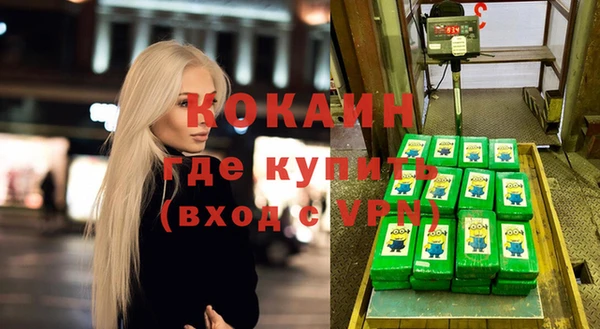 гидра Кодинск