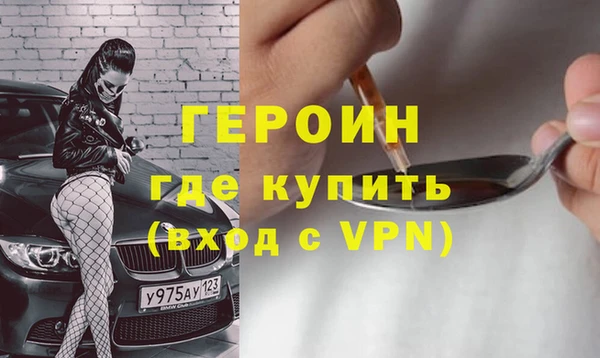 гидра Кодинск
