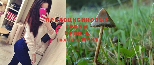 метадон Козельск