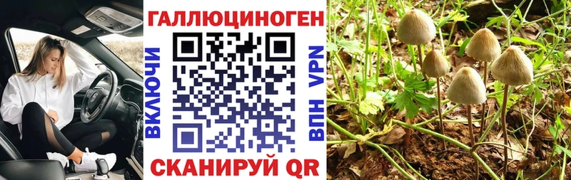 Псилоцибиновые грибы Psilocybine cubensis  Купить где  Белоярский 