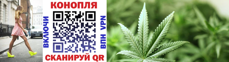 Купить закладки  Белоярский  Канабис сатива 